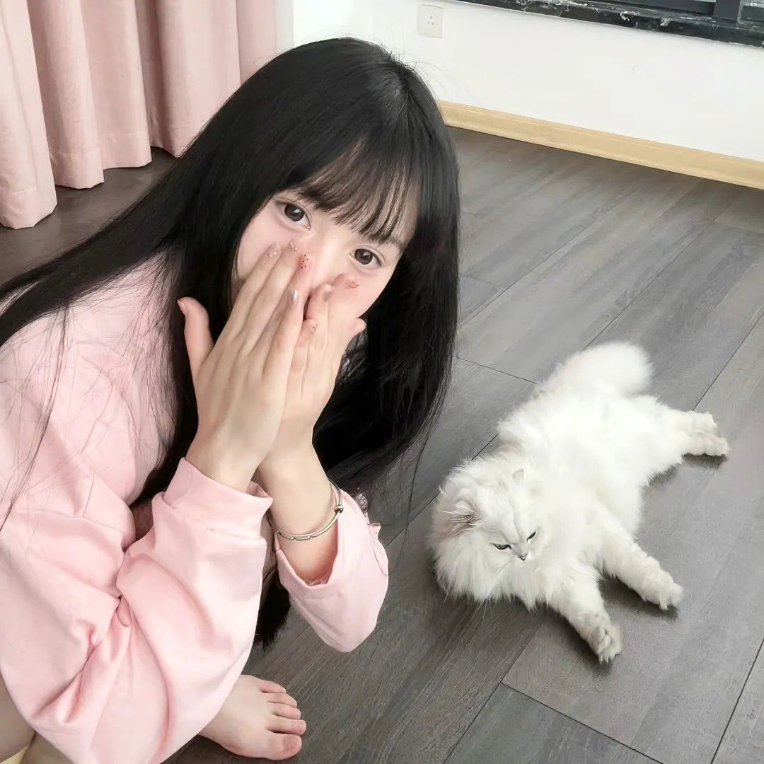 企鹅