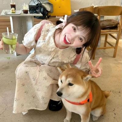 霹雳彩虹