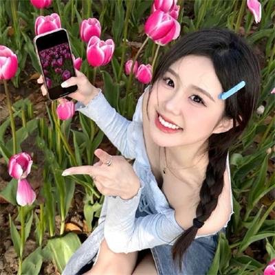 动物出击